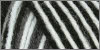  Yarn, 932 - Zebra SS by Red Heart