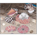 Sea Treasures Coasters