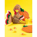 Turkey & Pumpkins Coaster Set