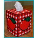 Gingham Apple Tissue Box Cover