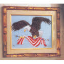 Eagle Picture