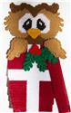 Pattern Leaflet, Owl in Christmas Present by Plastic-Canvas-Kits.com