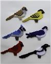 Birds Magnet Set