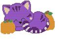Cat Napping Kitty
